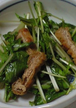 カリカリ油揚げと水菜のサラダ-レシピのメイン写真
