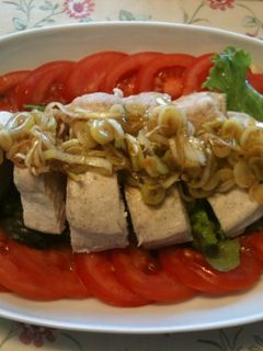 蒸し鶏の白ネギソースがけ-レシピのメイン写真