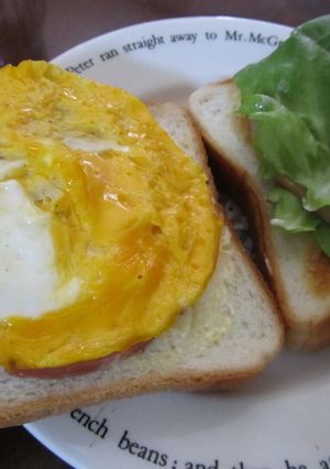 レンジで卵焼き？-レシピのメイン写真