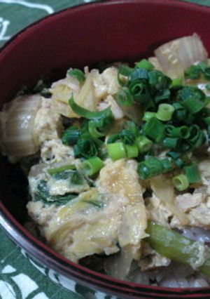 しょうがでポカポカ☆簡単親子丼☆-レシピのメイン写真