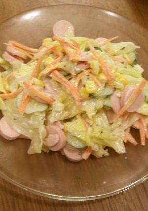 魚肉ソーセージとキャベツの超簡単サラダ-レシピのメイン写真