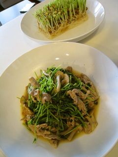 美味しい野菜炒め。○とうみょう炒め○。-レシピのメイン写真
