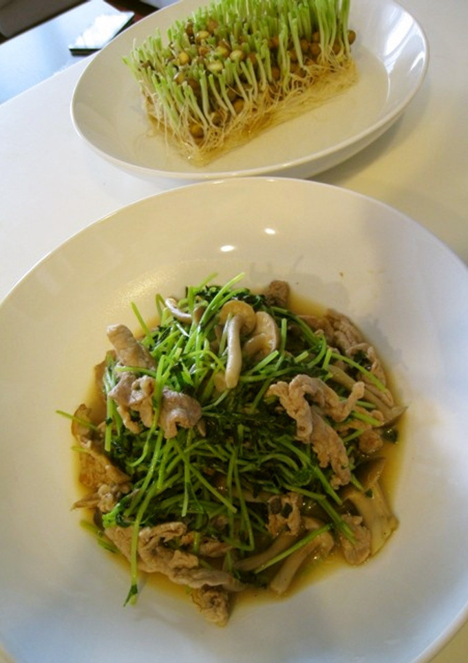 美味しい野菜炒め。○とうみょう炒め○。-レシピのメイン写真
