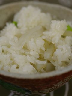 うどの炊き込みごはん-レシピのメイン写真