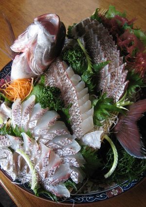 真鯛の刺身、姿造り(湯引き)-レシピのメイン写真