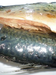さばの醤油煮 フライパンで簡単に-レシピのメイン写真