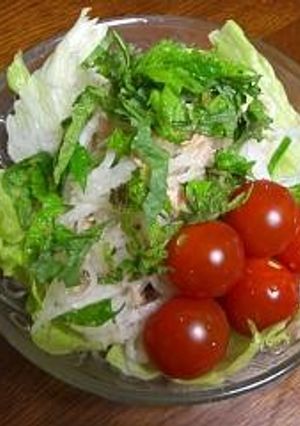 母の大根サラダ-レシピのメイン写真