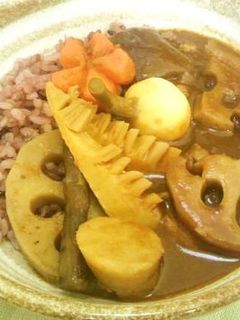 煮しめor筑前煮リメイク 和風根菜カレー-レシピのメイン写真