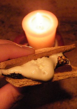 アメリカ発スイーツ❤スモア/S'more-レシピのメイン写真