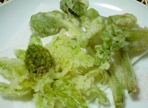 ふきのとうの天ぷら『きれいに揚げるコツ』-レシピのメイン写真