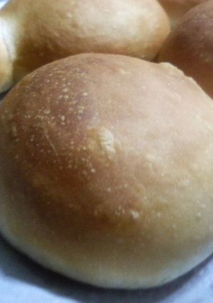 HBで生地作り＊中力粉のテーブルロール①-レシピのメイン写真