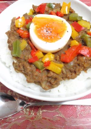 *おからでドライカレー*-レシピのメイン写真