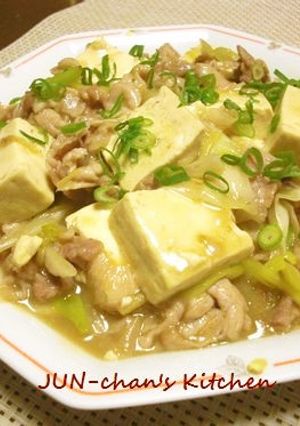 オイスターソースで＊とうふと豚肉の旨煮-レシピのメイン写真