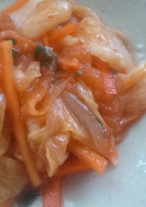 市販の白菜漬けで簡単キムチ♪-レシピのメイン写真