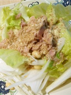 サラダうどん*ごまだれ-レシピのメイン写真
