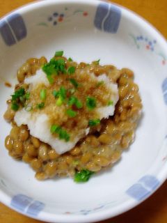 ヘルシー!おろし納豆-レシピのメイン写真