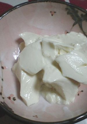 簡単！豆乳でヨーグルト-レシピのメイン写真
