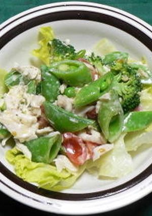 蒸し鶏とスナップエンドウのサラダ-レシピのメイン写真