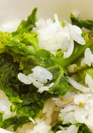 菜の花としらすのご飯-レシピのメイン写真