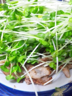 豚肉の塩焼きニンニク風味-レシピのメイン写真