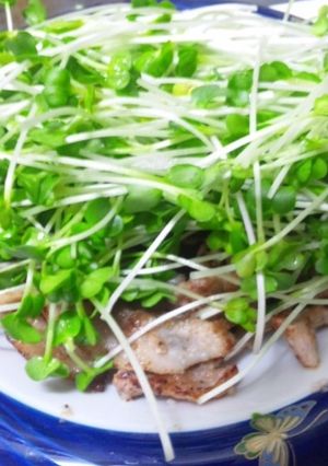 豚肉の塩焼きニンニク風味-レシピのメイン写真