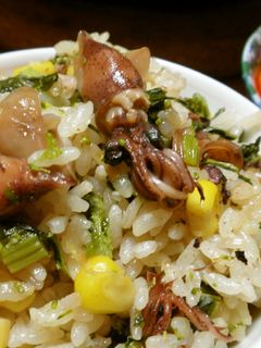 春到来❀ホタルイカと菜の花の炊込みご飯-レシピのメイン写真