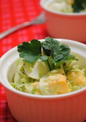 春キャベツと 茹で卵の シンプルサラダ☆-レシピのメイン写真