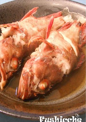 カサゴの煮つけ-レシピのメイン写真