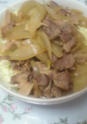 我が家の肉丼!-レシピのメイン写真