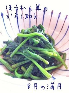ほうれん草のからし和え-レシピのメイン写真