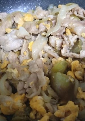 豚たまナスの中華炒め-レシピのメイン写真