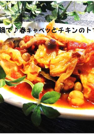 圧力鍋で♪春キャベツとチキンのトマト煮-レシピのメイン写真