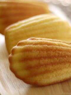 ケーキ屋さんの絶品マドレーヌ-レシピのメイン写真