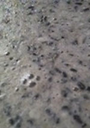 レンジで簡単＊ごまぷりん-レシピのメイン写真