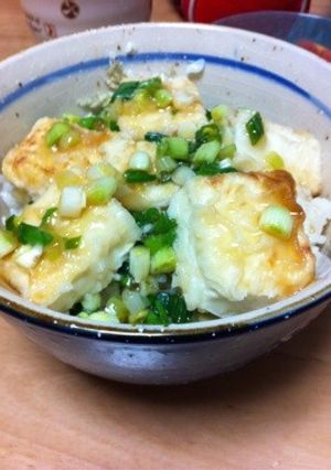 揚出し豆腐丼-レシピのメイン写真