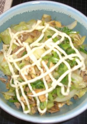 野菜もお腹もいっぱい☆簡単丼♪-レシピのメイン写真