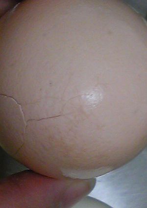 簡単きれいに剥けるゆで卵の作り方-レシピのメイン写真