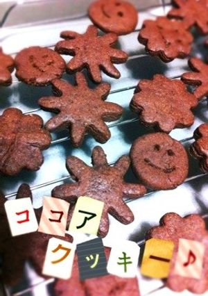 *サラダ油でココアクッキー*-レシピのメイン写真