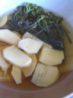 たけのこ(筍)とワラビの煮びたし-レシピのメイン写真