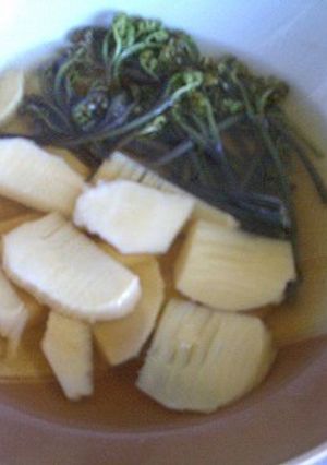たけのこ（筍）とワラビの煮びたし-レシピのメイン写真