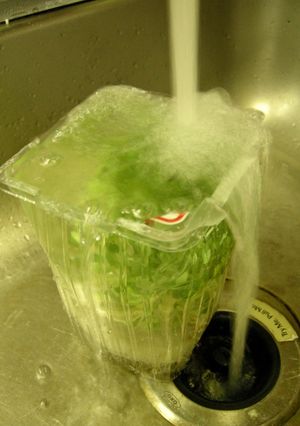 カイワレ大根の種ガラの取り方-レシピのメイン写真