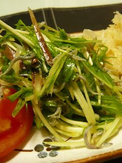 ミョウガと水菜のさっぱり春サラダ★-レシピのメイン写真