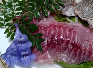 ひと手間かけて炙り刺身イサキ-レシピのメイン写真