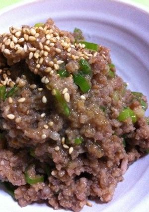 超簡単...5分..丼で作る ねぎ肉味噌-レシピのメイン写真