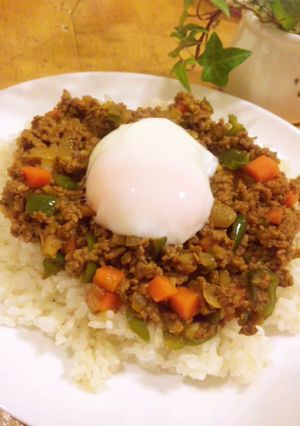 アレンジ次第で七変化＊ドライカレー-レシピのメイン写真