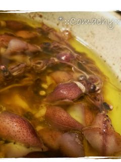 ホタルイカのアヒージョ-レシピのメイン写真