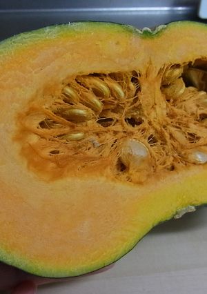 カボチャの冷凍保存方法-レシピのメイン写真