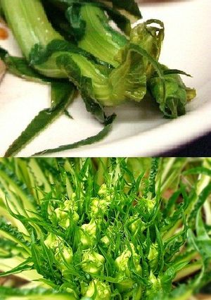 プンタレッラのリンゴ酢煮-レシピのメイン写真