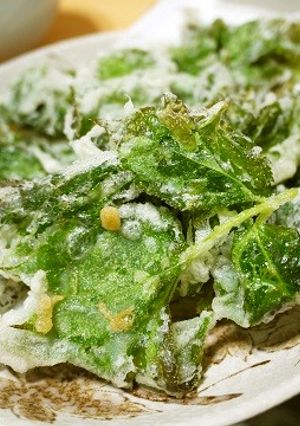 明日葉の天ぷら-レシピのメイン写真