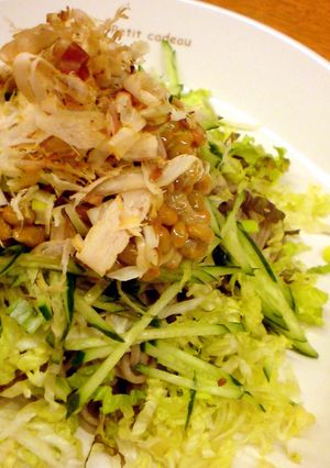 さっぱりサラダ風に冷やし納豆そば-レシピのメイン写真